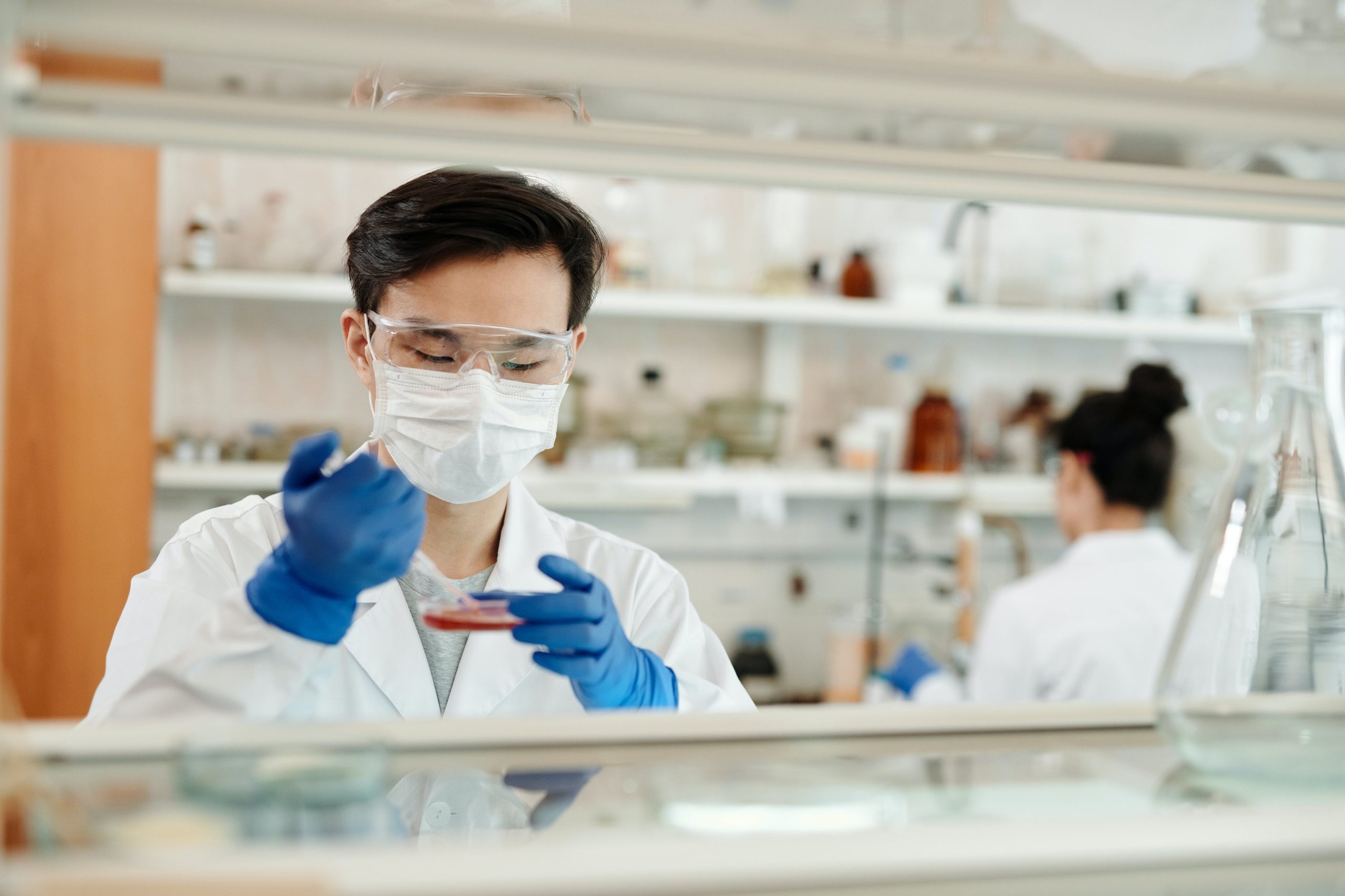Comment intégrer et comment se déroule un Master of Science
